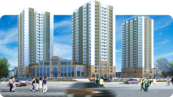 Lĩnh vực hoạt động